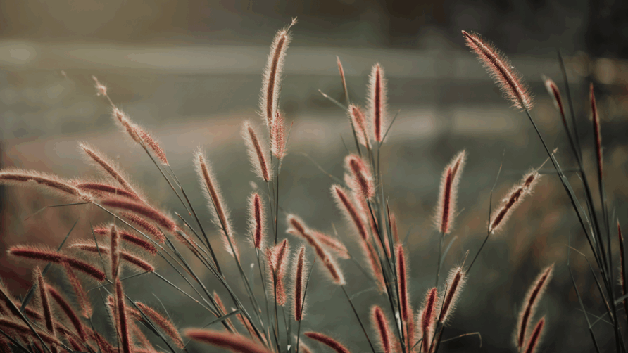 Que faire à Durtal et dans le Haut Anjou ?